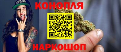 СК Обь