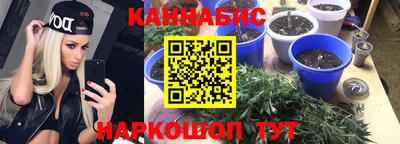 сатива Нягань