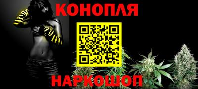 СК Обь