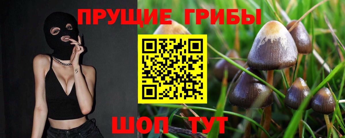 Ишим  Галлюциногенные грибы Cubensis  Галлюциногенные грибы ЛСД  Вход с VPN 